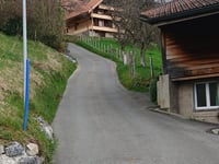 Wilerallmi da Gunten via Zelgweg