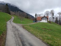 Wilerallmi da Gunten via Zelgweg
