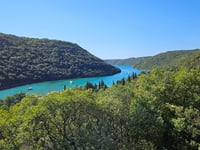 Brajkovici von Limska Draga