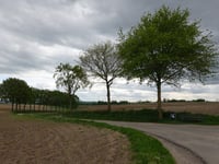 Klingeleberg über Bosschenhuizen