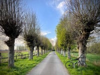 Allée de Venteuil from La ferté sous Jouarre