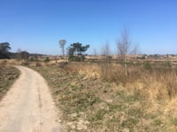 Koningsweg von Rozendaalse Veld