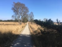Koningsweg von Rozendaalse Veld