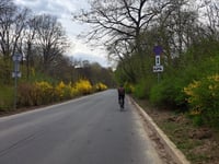 Kraków Zoo über Leśna