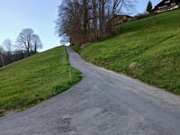 Krindenhubel da Längenschachen via Emmitweg