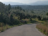El Pla de l'Abella von Riu Cervol
