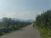 Rossell über Carretera dels Pals
