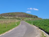 Hungerberg von Wintersdorf