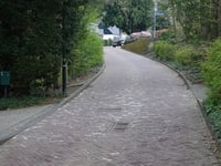 Zuiderbeek