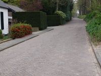 Zuiderbeek