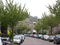 Burgemeester Weertsstraat von Sonsbeek