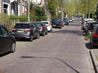 Passavantlaan über Leoninusstraat
