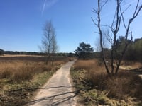 Kluizenaarsweg von Rozendaalse Veld