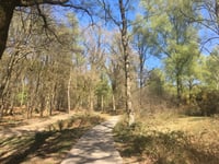Herikhuizerweg von Velp