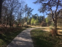 Tafelberg von Velp über Den Bruijl