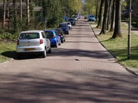Peter van Anrooylaan via Ockeghemlaan