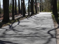 Hoeferlaan przez Openluchtmuseum