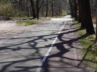 Cattepoelseweg from Schaarsbergen
