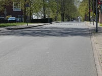 Vijverlaan von Raapopseweg