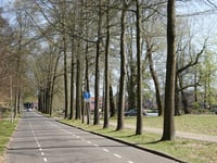 Steenen Tafel