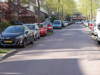 De Goeijenlaan via Roemer Visscherstraat