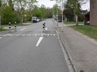 Dennenweg über Moslaan