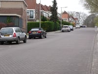 Dennenweg über Moslaan