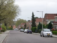 Dennenweg über Moslaan