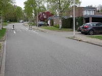 Vogelkersweg über Moslaan