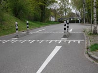 Vogelkersweg via Moslaan
