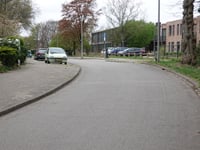 Vogelkersweg via Moslaan