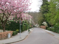 Rozenheuvel über De Genestetlaan