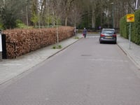 Rozenheuvel via Bernard ter Haarlaan