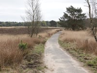 Kluizenaarsweg von Rozendaalse Veld