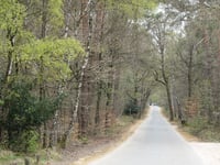 Kluizenaarsweg von Rozendaalse Veld