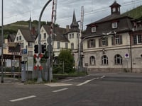 Fichtenkopf von Assmanshausen