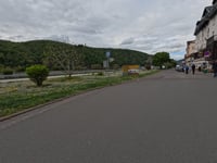 Fichtenkopf von Assmanshausen