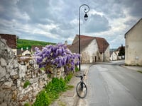 Moucherelle von Romeny sur Marne