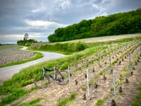Moucherelle von Romeny sur Marne
