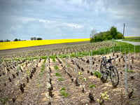 Croix Monthuy from Charly sur Marne