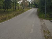 Via Scagliara von Regazzoni
