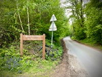 Route forestière des Parquets