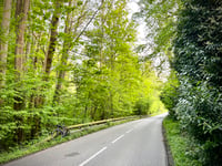 Forêt de Montmorency von Chauvry