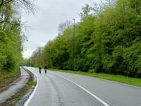 Bois de Stoûmont from Cerfontaine