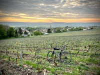 Nesles la Montagne