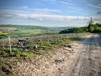 Vigne de Jaulgonne da Jaulgonne via Rue des Vaches