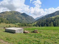 Goletto di Cadino from Bagolino
