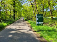 Motte van Montferland