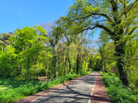 Peeskesbult from Beek