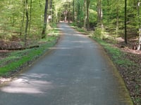 Rozenbos / Holleweg